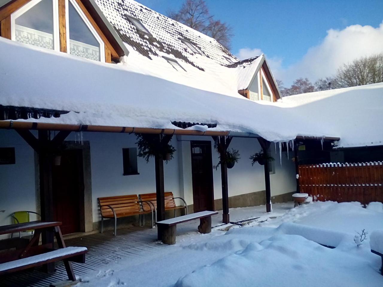 Hotel Penzion U Dvojice Nove Mesto na Morave Exterior foto